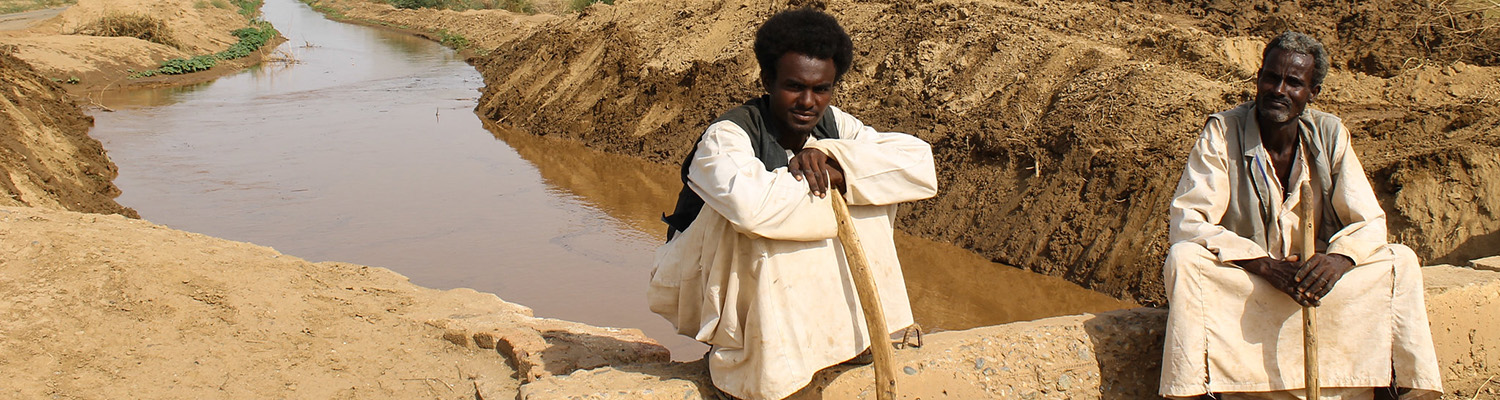 It’s not just about Average Effects: How Extreme Weather Events due to Climate Change may Affect Agriculture and Poverty in the Sudan