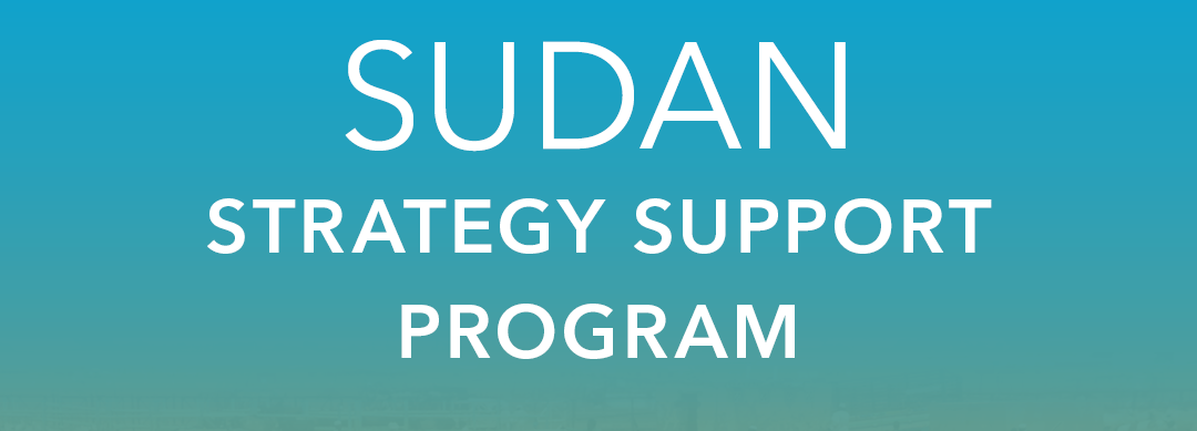 LAUNCH & CO-CREATION WORKSHOP OF THE SUDAN SSP