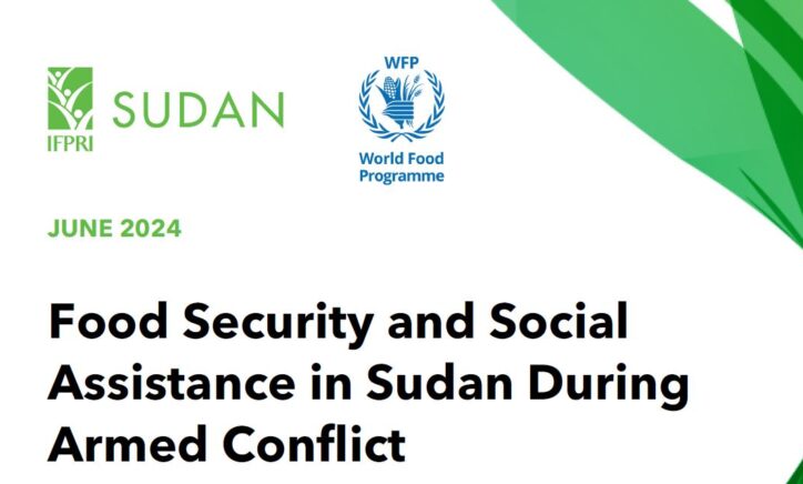 Food security and social assistance in Sudan during armed conflict