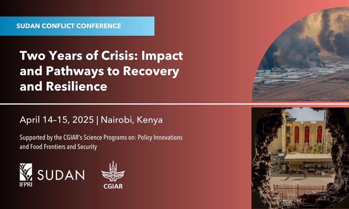 Two Years of Crisis: Impact and Pathways to Recovery and Resilience