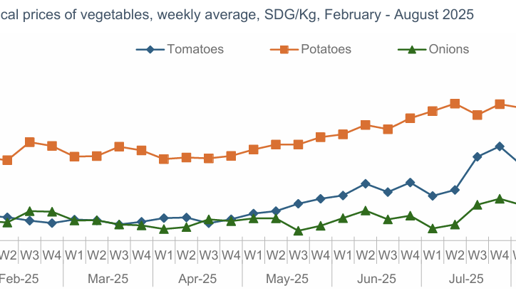 Essential commodities prices, availability, and market actors’ perceptions: August 2025