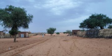 Rural livelihoods under prolonged conflict: Evidence from a panel household survey in Sudan