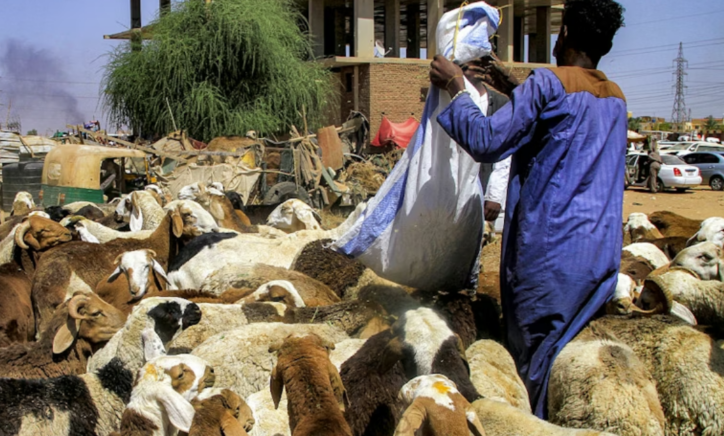 Sudan: how warring factions gained influence in the country’s food system – and what it means for the current conflict