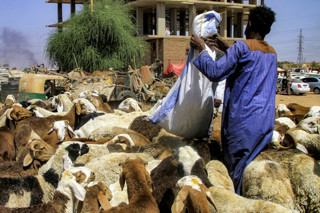 Sudan: how warring factions gained influence in the country’s food system – and what it means for the current conflict