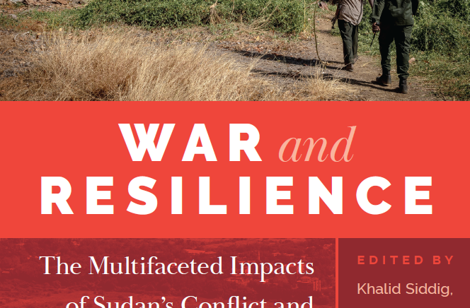 War and resilience: The multifaceted impacts of Sudan’s conflict and pathways to recovery