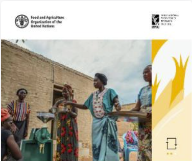 Characteristics and survival of agrifood micro-, small and medium-sized enterprises in the Sudan’s recent conflict